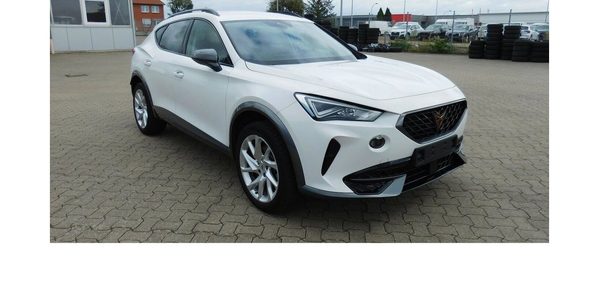 Cupra Formentor 1.5 TSI BMT Klima LED Alu 22.200 km 20.490 &euro; Vordorf 38533