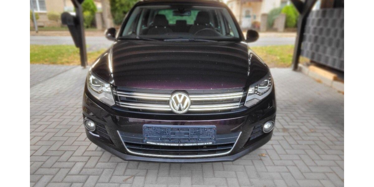 VW Tiguan 86.416 km 9.900 &euro; Westeregeln 39448