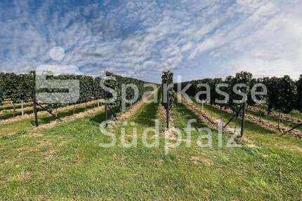 Grundstück Birkweiler - 345.000&euro; | Angebot:12436484