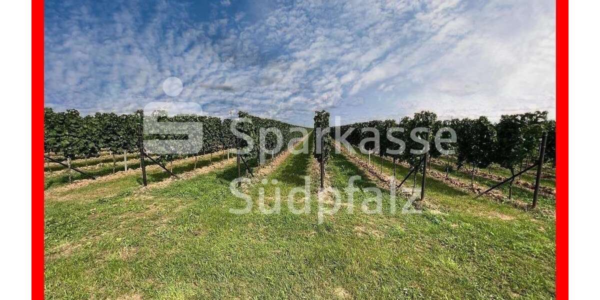 Grundstück in Birkweiler 345.000 € 43129 m² zimmer