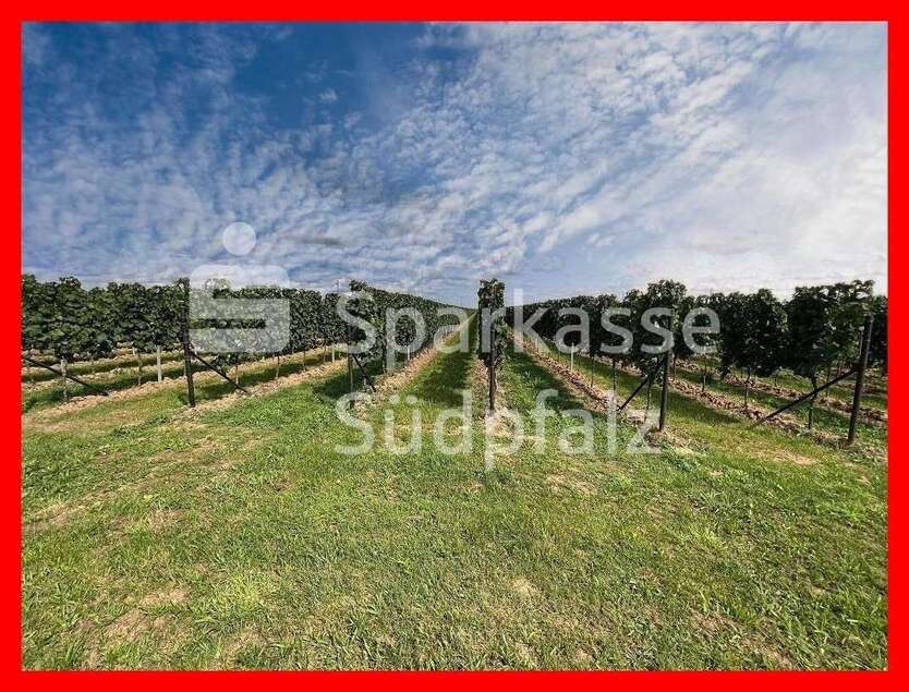 Grundstück in Birkweiler 345.000 € 43129 m² zimmer