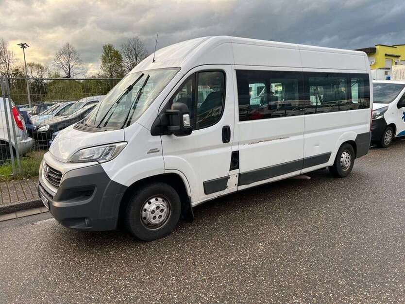 Ducato