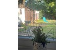 Bauernhaus, Landhaus Bad Freienwalde (Oder) - 3.5 Zimmer, 75 m&sup2;, 219.000&euro; | Angebot:27257881