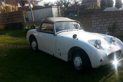 Austin Healey Andere 2.000 km 16.500 &euro; Merzenich 52399