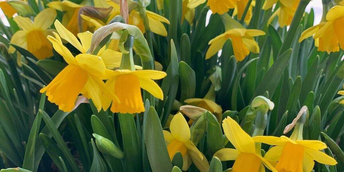 Etagenwohnung Lüneburg Neu Hagen - 3 Zimmer, 95 m&sup2;, 599.000&euro; | Angebot:25688389