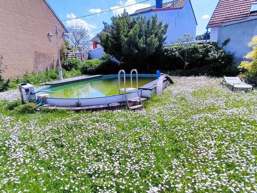 Haus zum Kaufen in Langenlonsheim 775.000 € 375 m²