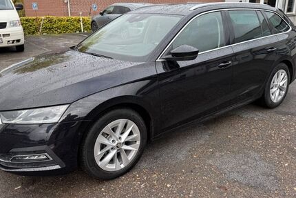 Skoda Octavia 131.000 km 19.990 &euro; Ahausen (ehem. TÜV Gelände) 27367
