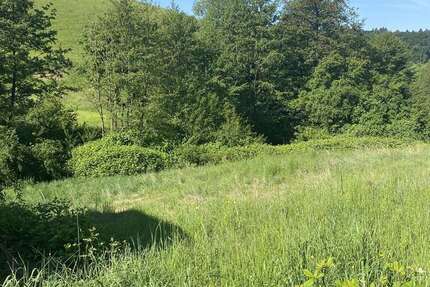 Grundstück Gorxheimertal - 199.500&euro; | Angebot:22516520