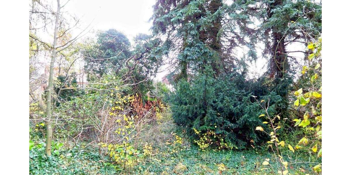 Grundstück Rietschen - 20.000&euro; | Angebot:25746002