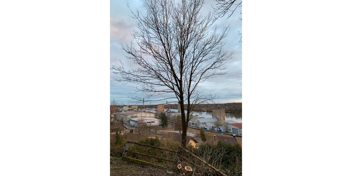 Bungalow Deggendorf - 3 Zimmer, 63 m&sup2;, 1.000&euro; | Angebot:25319212