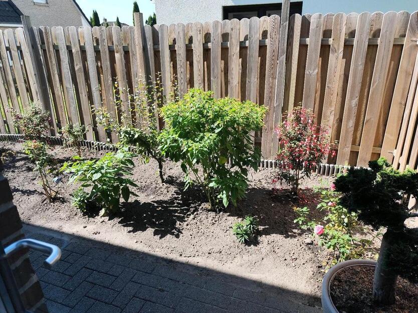 Doppelhaushälfte in Oldenburg zimmer