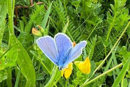 Grundstück zu verkaufen in Königsbrunn 639.000 € 794 m² zimmer