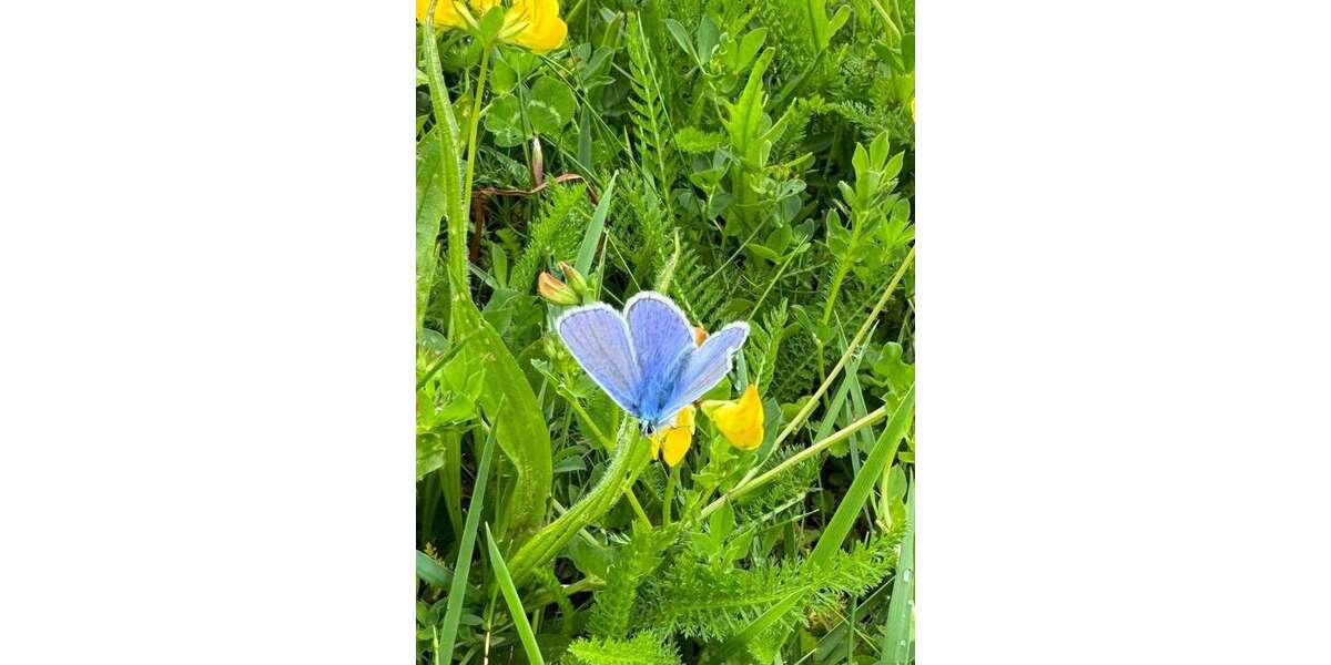 Grundstück zu verkaufen in Königsbrunn 639.000 € 794 m² zimmer