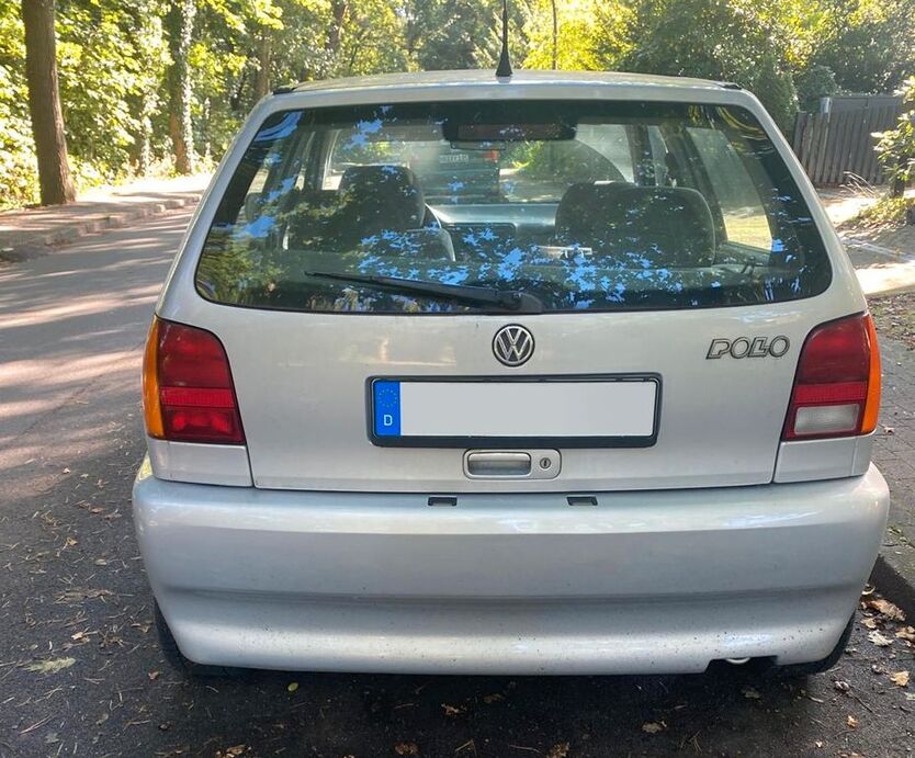 Polo