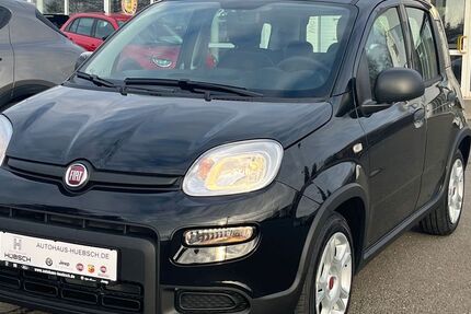 Fiat Panda 1.500 km 14.590 &euro; Chemnitz 09130