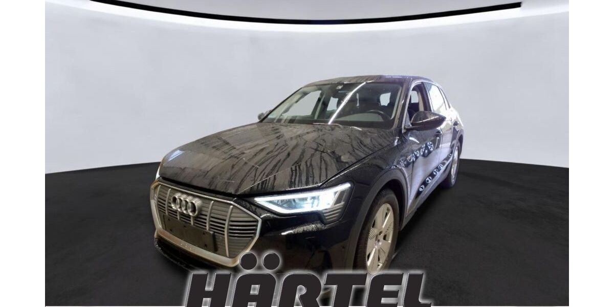 Audi e-tron 31.900 km 29.900 &euro; Osnabrück 49084