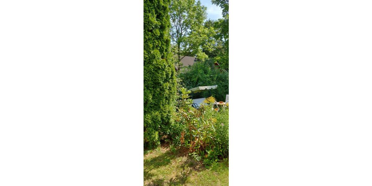 GEWERBE - IDEAL - ZENTRAL IN WITTGENSDORF- Chemnitz - Gewerbeobjekt Chemnitz Wittgensdorf | Angebot:26357989