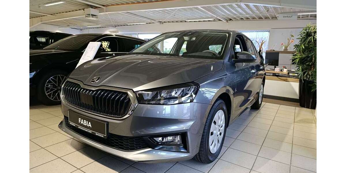 Skoda Fabia 1.250 km 22.900 &euro; Oldenburg 26129
