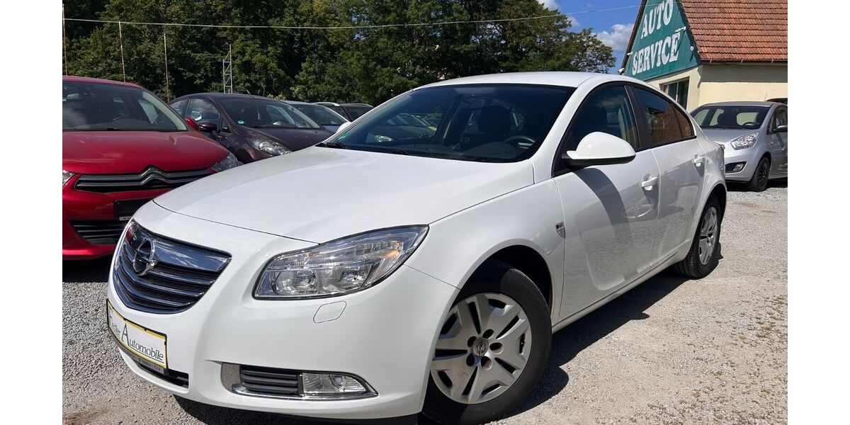 Opel Insignia 114.000 km 6.250 &euro; Großdubrau/Zschillichau 02694