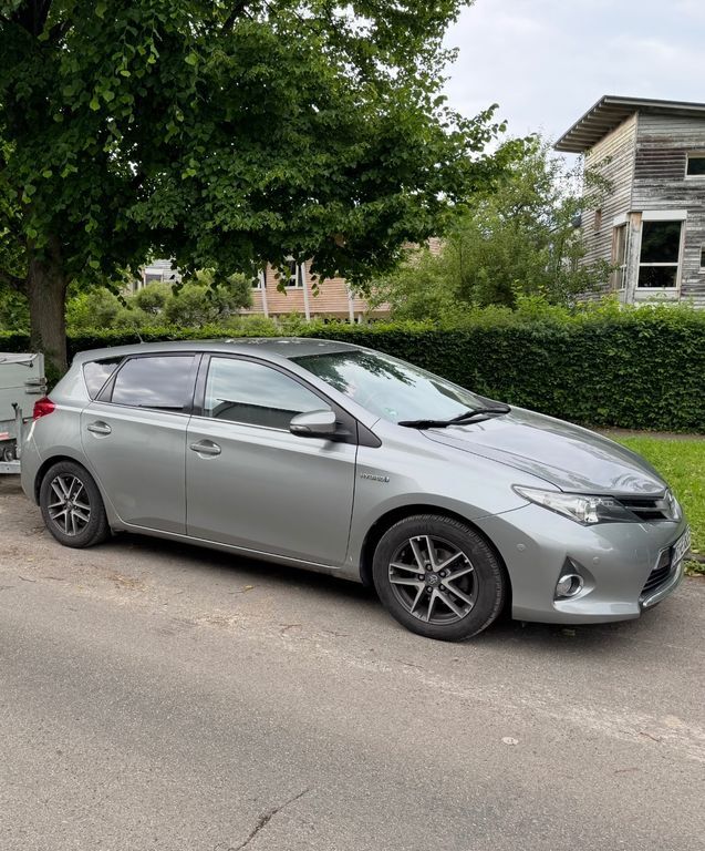 Auris