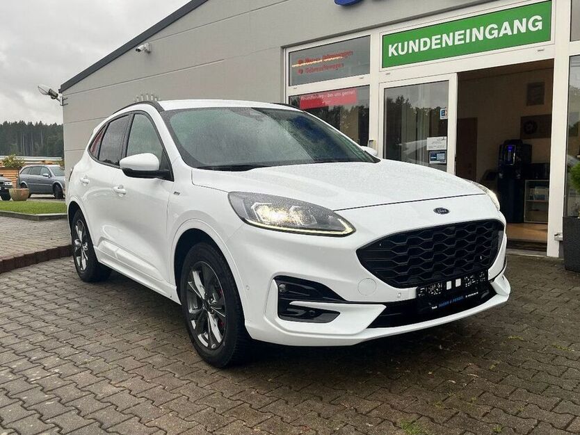 Kuga