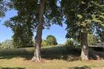 Grundstück Badow Badow - 55.000&euro; | Angebot:26820708