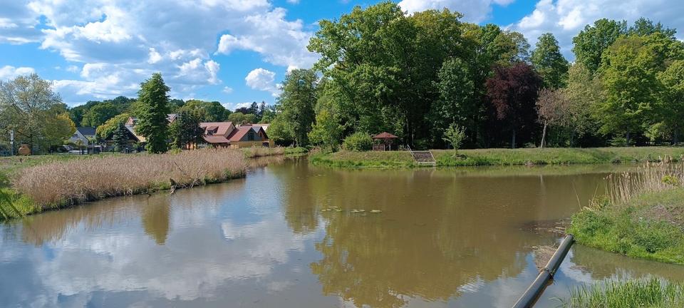 Einfamilienhaus Weißwasser (Oberlausitz) - 6 Zimmer, 90 m&sup2;, 90.000&euro; | Angebot:26640124