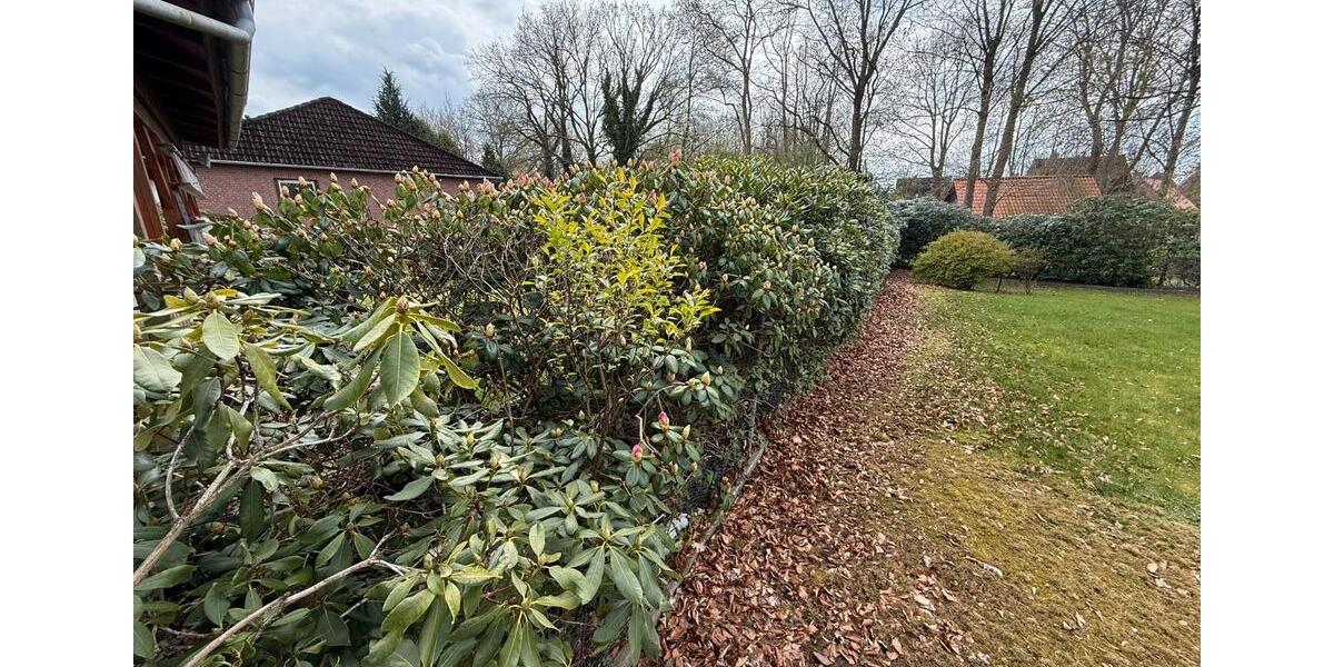 Einfamilienhaus Cadenberge - 6 Zimmer, 110 m&sup2;, 278.500&euro; | Angebot:26940186