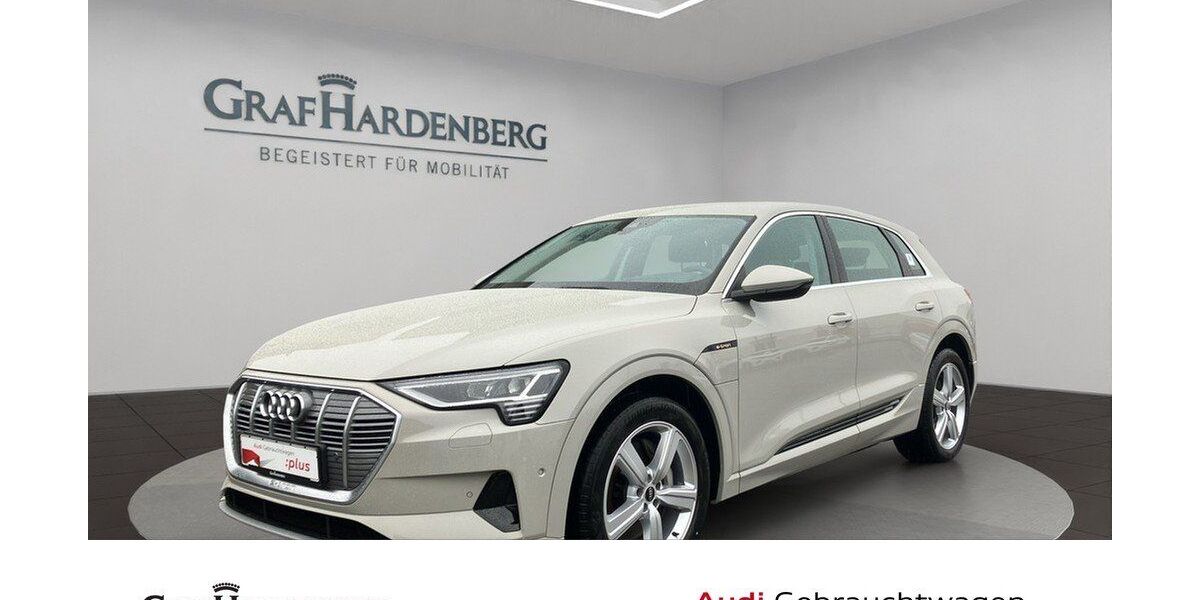 Audi e-tron 67.300 km 33.510 &euro; Aach 78267