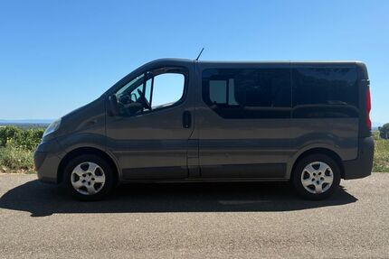 Opel Vivaro 178.000 km 13.000 &euro; Ludwigshafen 67065