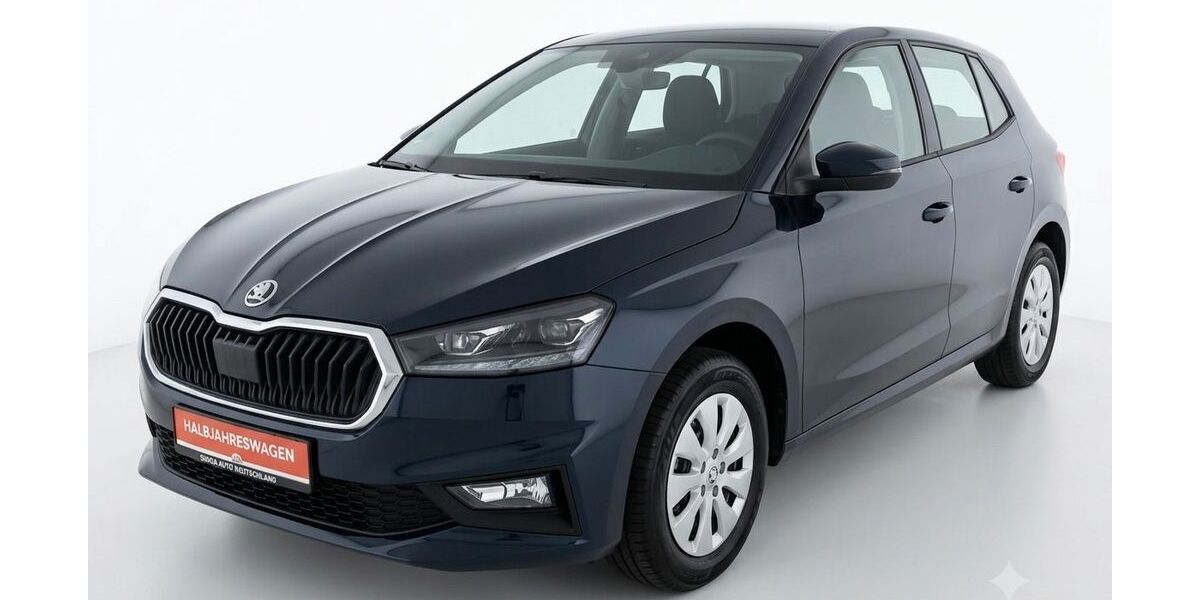 Skoda Fabia 2.950 km 19.500 &euro; Bad Bayersoien 82435
