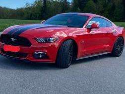 Mustang
