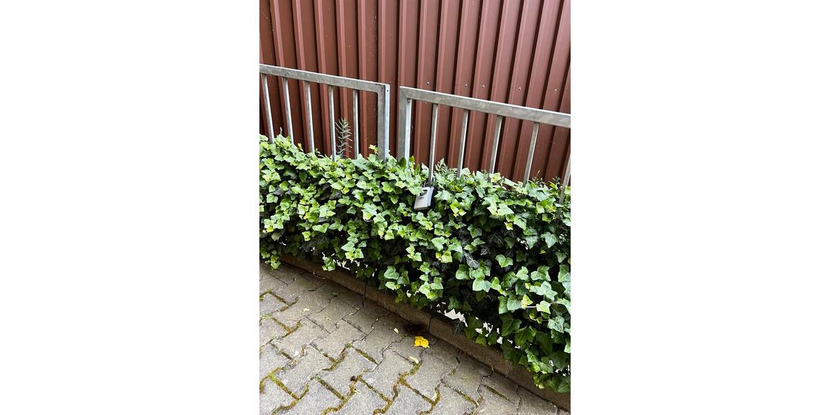 Etagenwohnung Nürnberg Rabus - 1 Zimmer, 27 m&sup2;, 119.999&euro; | Angebot:27071193