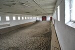 Marlow-OT, Reitanlage + Blockhütten in Ostseenähe - Anlageobjekt Marlow Allerstorf | Angebot:12287822