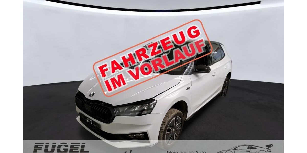 Skoda Fabia 41.640 km 18.999 &euro; Chemnitz - Mittelbach 09224