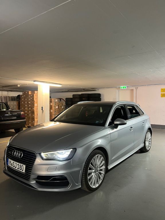 A3