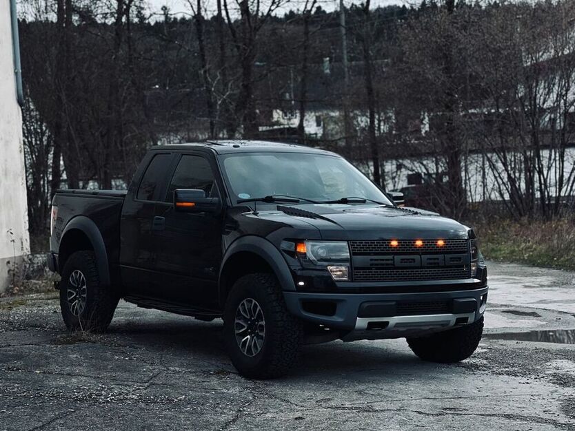 Raptor