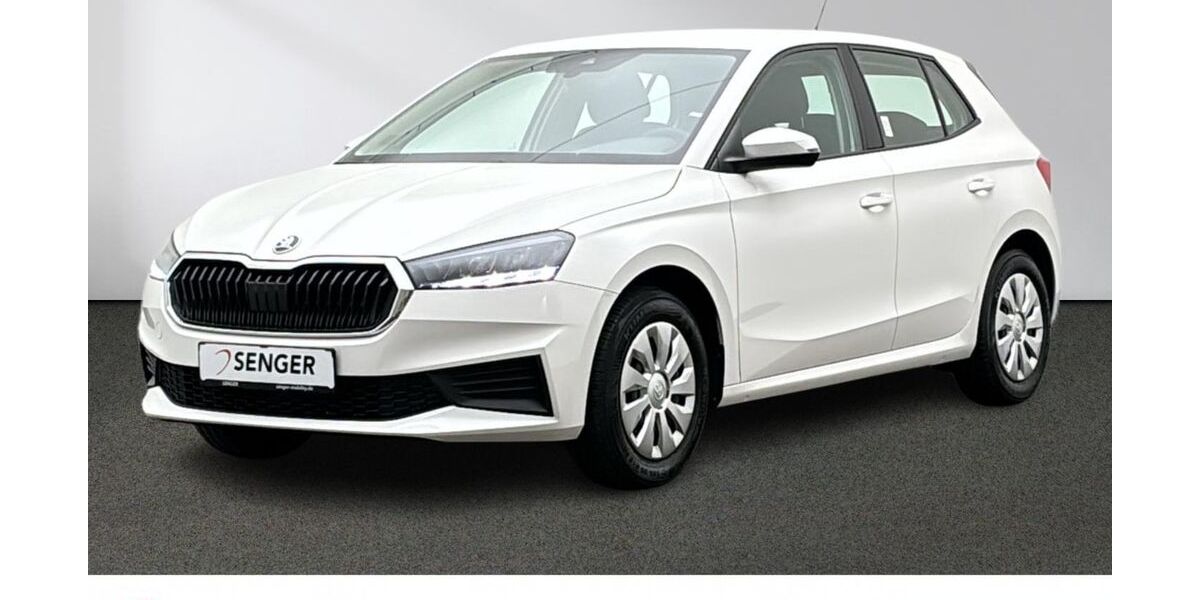 Skoda Fabia 20.052 km 13.880 &euro; Emsdetten 48282