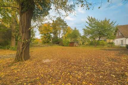 Grundstück Königs Wusterhausen Niederlehme - 240.000&euro; | Angebot:26008448