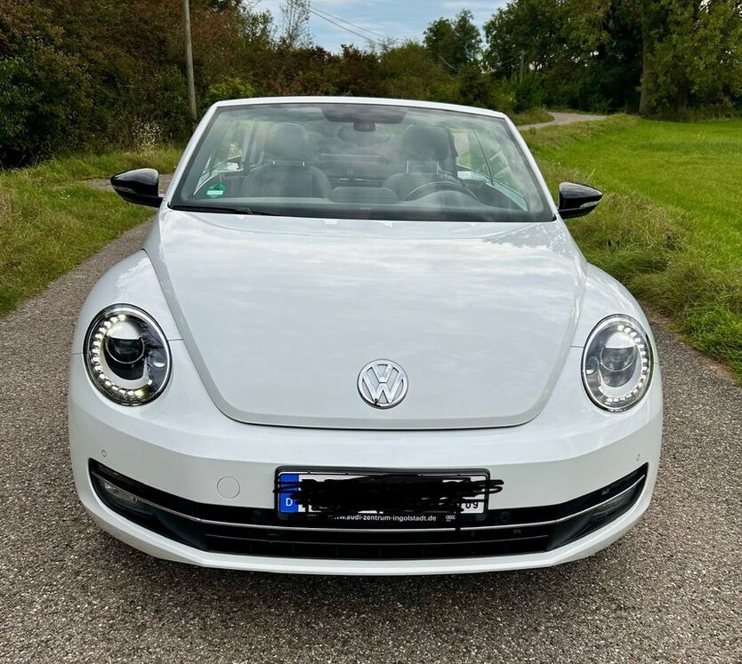 Beetle