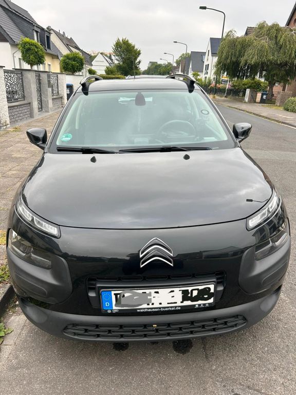C4 Cactus