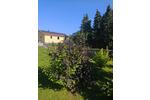 Einfamilienhaus Goldberg - 4 Zimmer, 115 m&sup2;, 334.000&euro; | Angebot:27018329