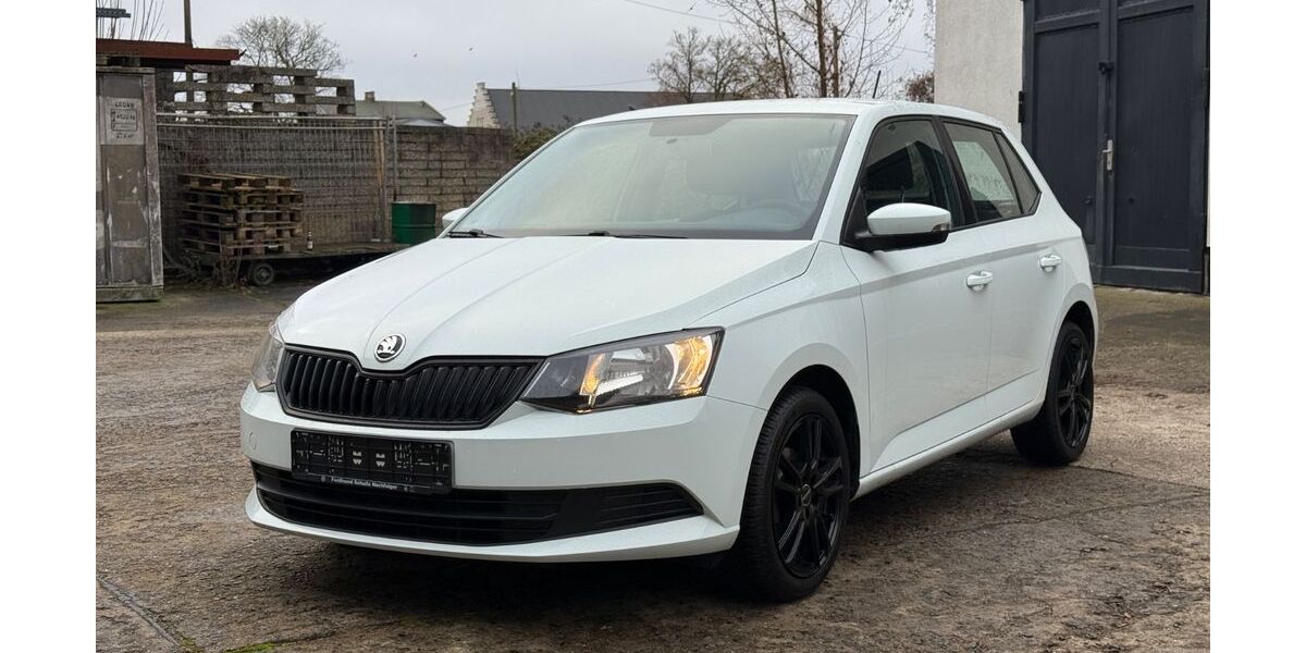 Skoda Fabia 196.990 km 6.290 &euro; Rostock 18119