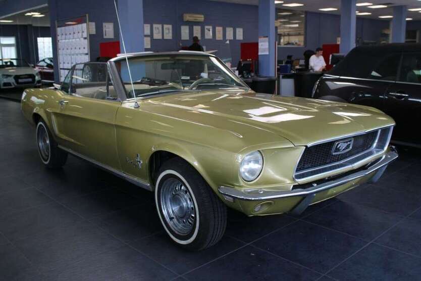 Mustang