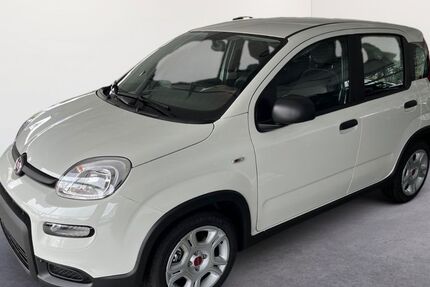 Fiat Panda 10 km 16.900 € Lindenberg 88161