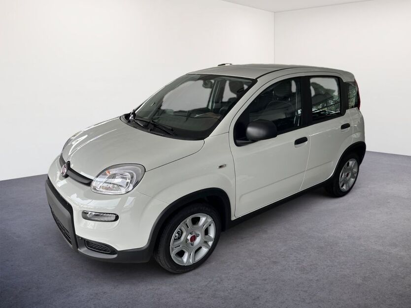 Fiat Panda 10 km 16.900 € Lindenberg 88161