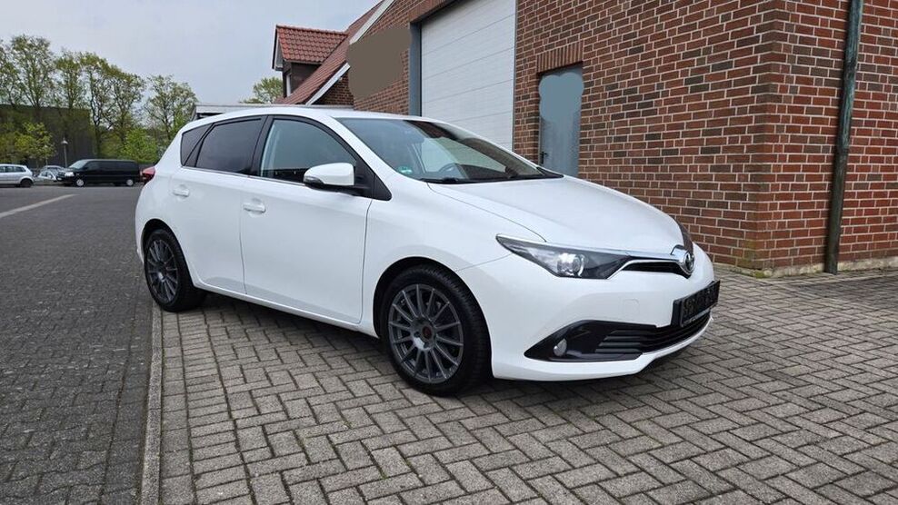 Auris