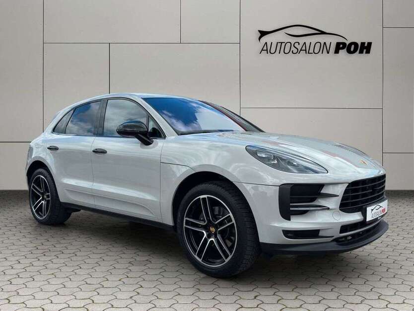 Macan