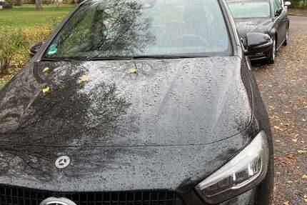 Mercedes-Benz B 220 41.500 km 30.900 &euro; Ludwigshafen/Rhein 67067