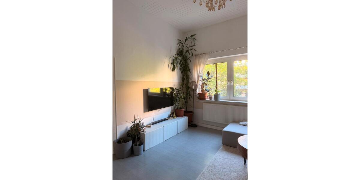 Etagenwohnung Wiesbaden Biebrich - 2 Zimmer, 67 m&sup2;, 1.060&euro; | Angebot:26680426
